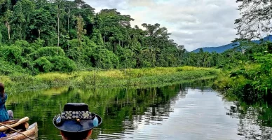 Tambopata Tours with Machupicchu Travel Tour: An Unparalleled Adventure in the Peruvian Rainforest